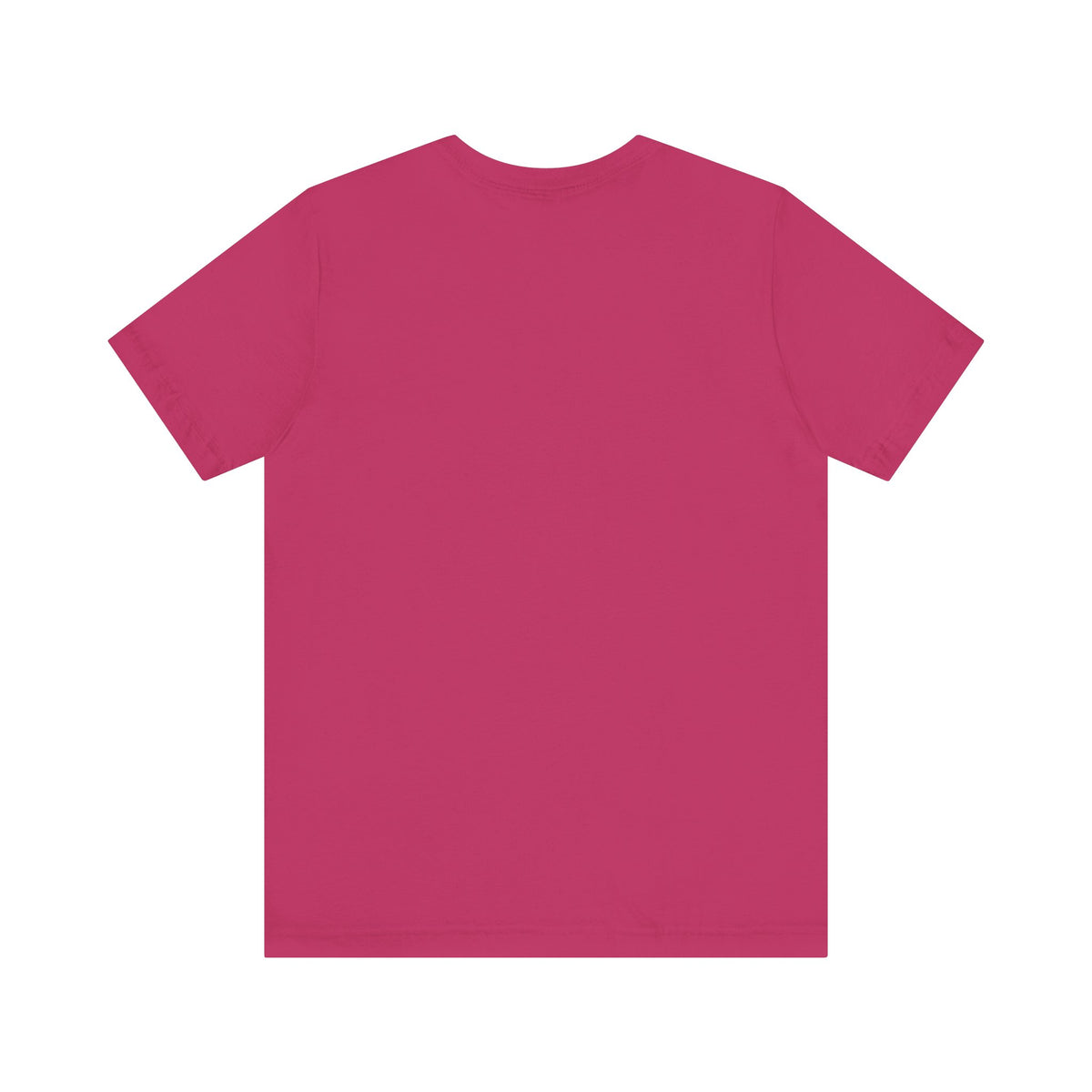 Proverbs 31 Tshirt